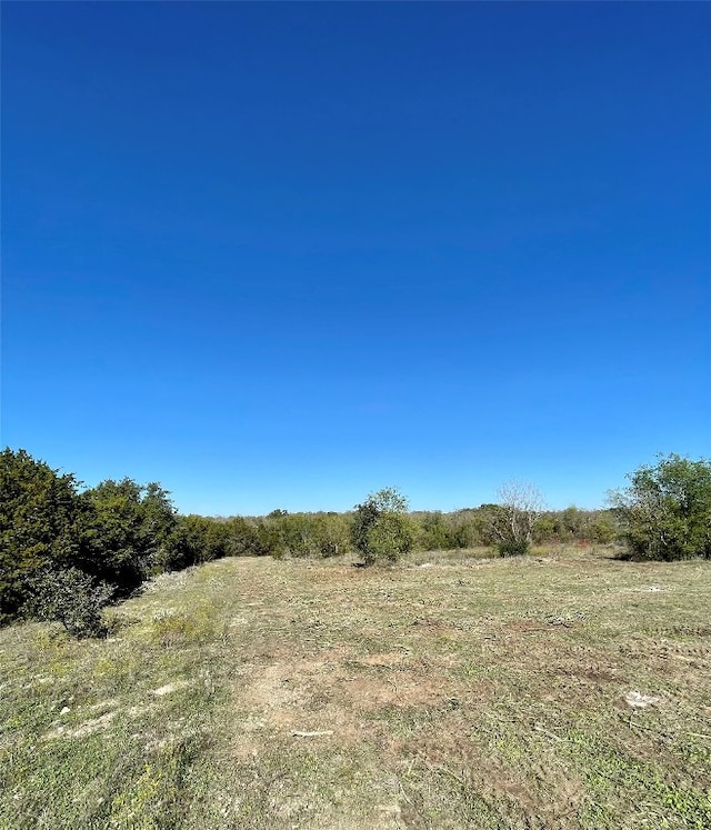 view of local wilderness featuring a rural view