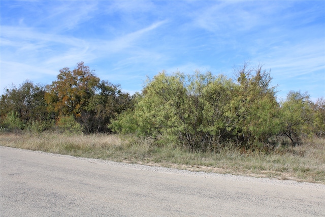 Listing photo 3 for TBD Feather Bay Blvd, Brownwood TX 76801