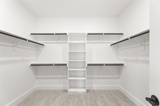 walk in closet featuring carpet flooring