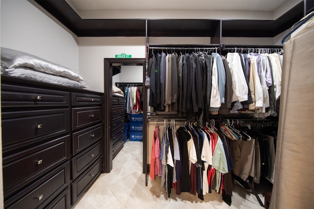 view of spacious closet