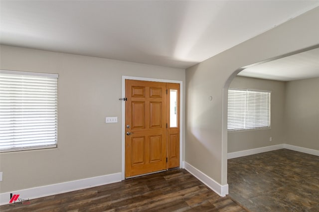 foyer featuring plenty of natural light and dark hardwood / wood-style floors