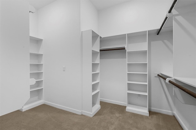 walk in closet with dark colored carpet