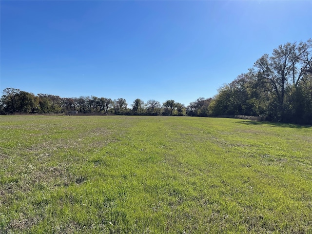 Listing photo 2 for TBD Cr 2383, Pickton TX 75471