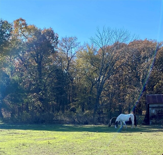 view of yard featuring a rural view