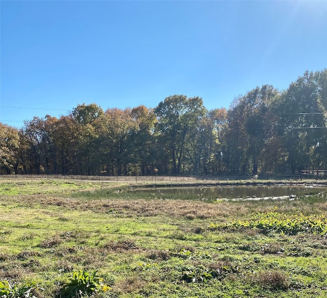 view of yard with a rural view