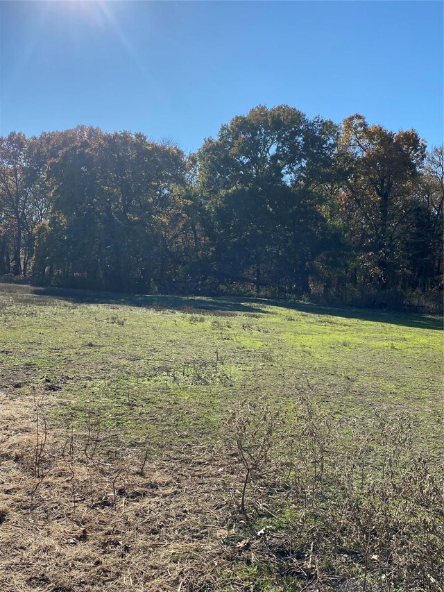 view of yard featuring a rural view