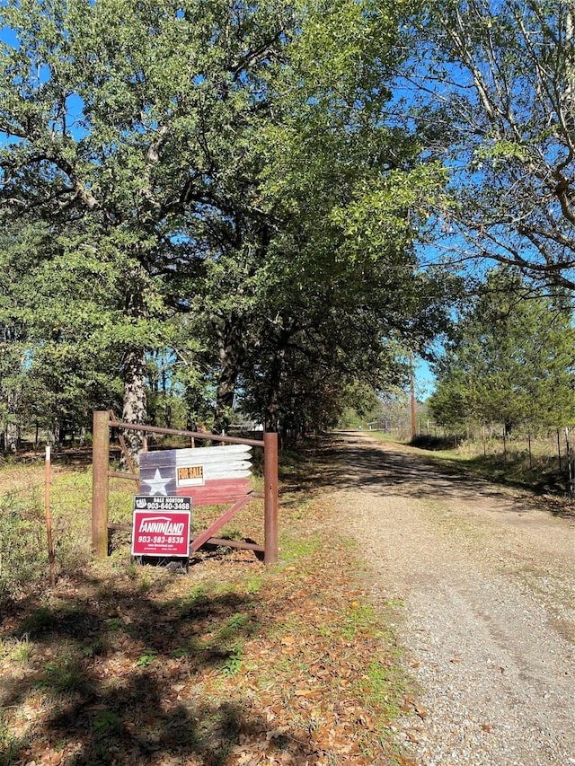 view of road