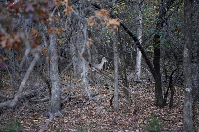 Listing photo 3 for 800 Boling Ranch Rd, Azle TX 76020