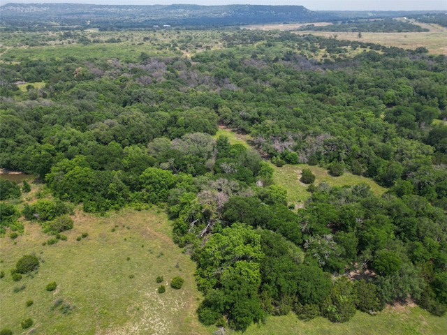 Listing photo 3 for TBD County Road 147, Blanket TX 76432