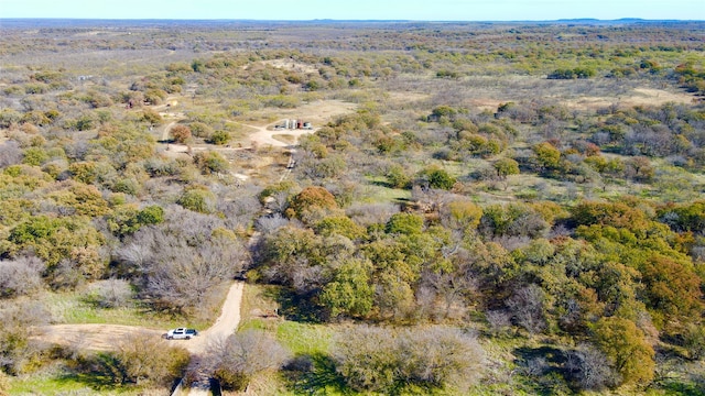 Listing photo 2 for TBD Highway 16 N, Graham TX 76450