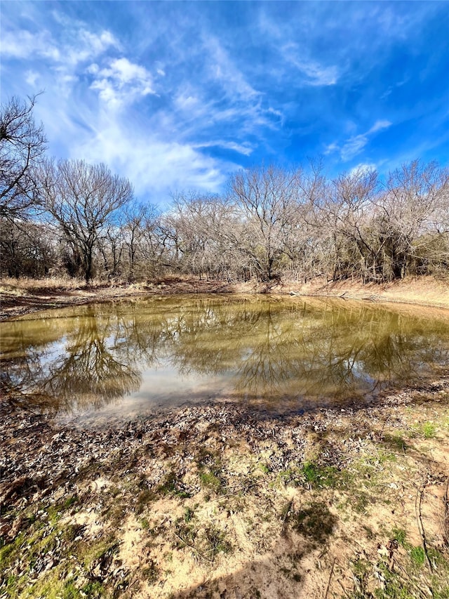 Listing photo 3 for TBD Highway 16 N, Graham TX 76450