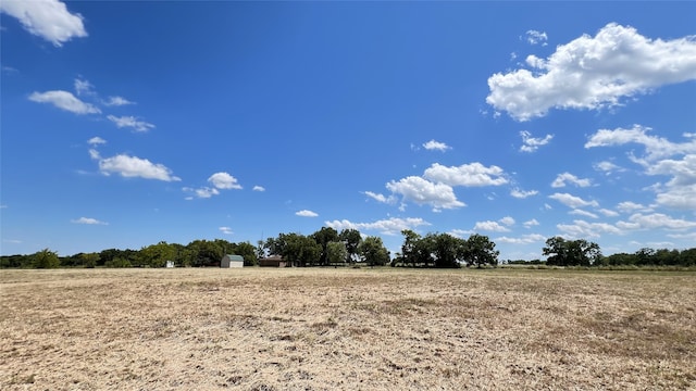 view of local wilderness with a rural view