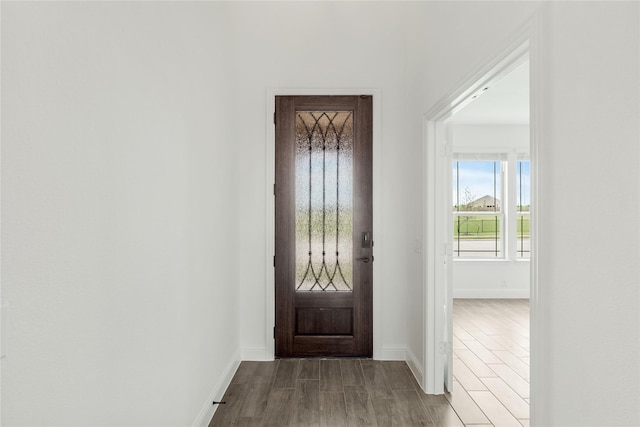 entrance foyer with hardwood / wood-style flooring