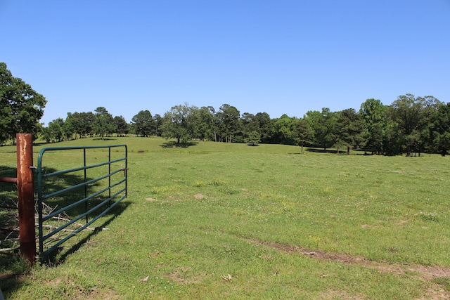 view of yard with a rural view