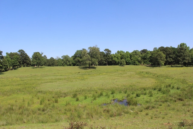 view of nature featuring a rural view