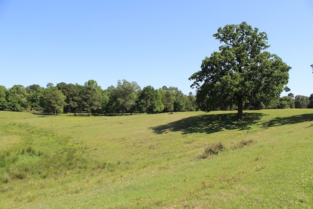 view of local wilderness with a rural view