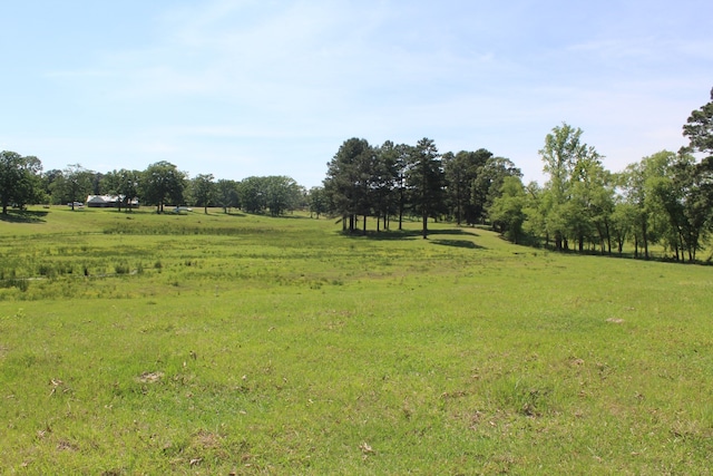 view of local wilderness with a rural view