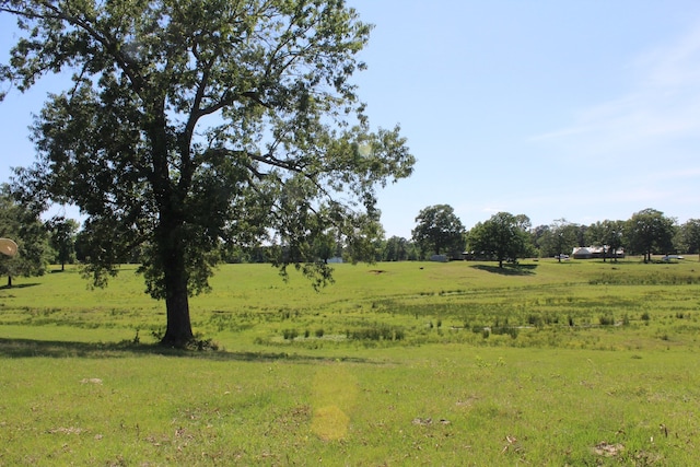 view of landscape with a rural view