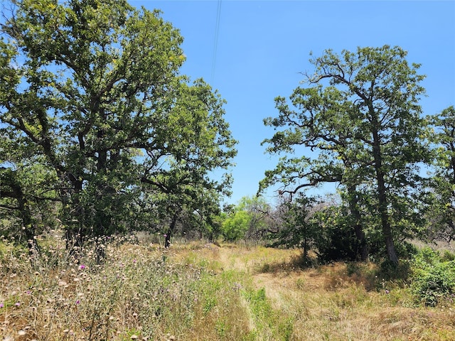 view of nature