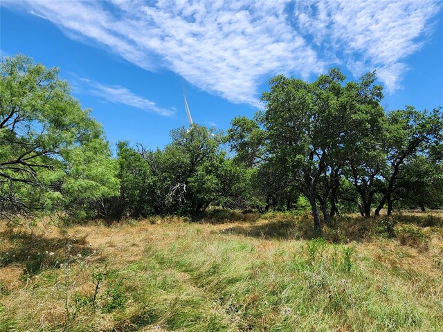 view of nature