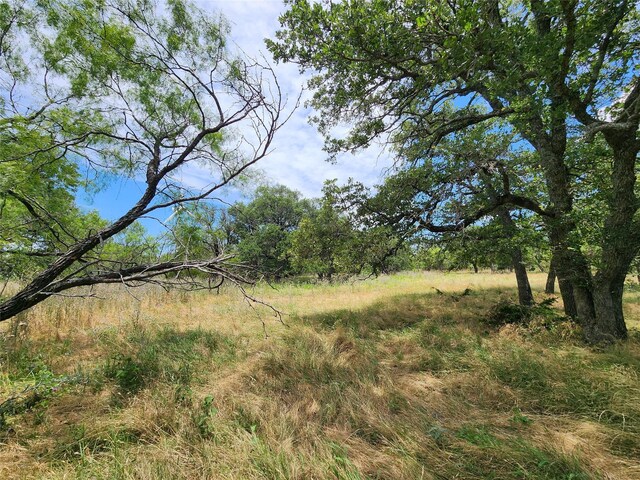 view of nature