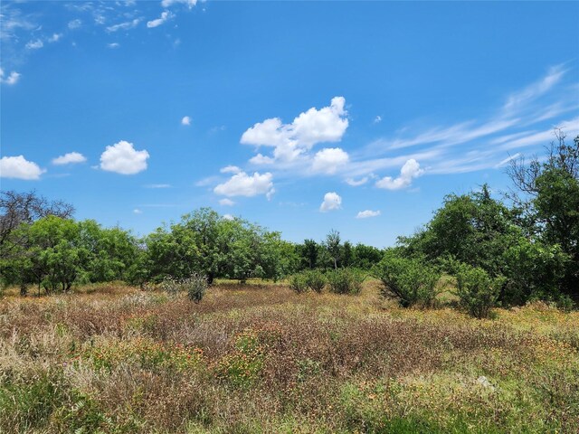 view of nature