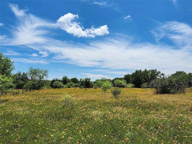 view of nature