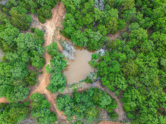 view of bird's eye view