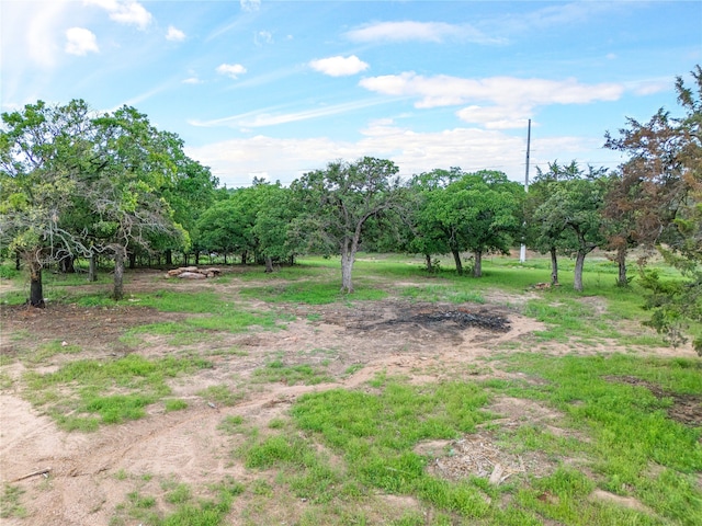 view of yard with a rural view