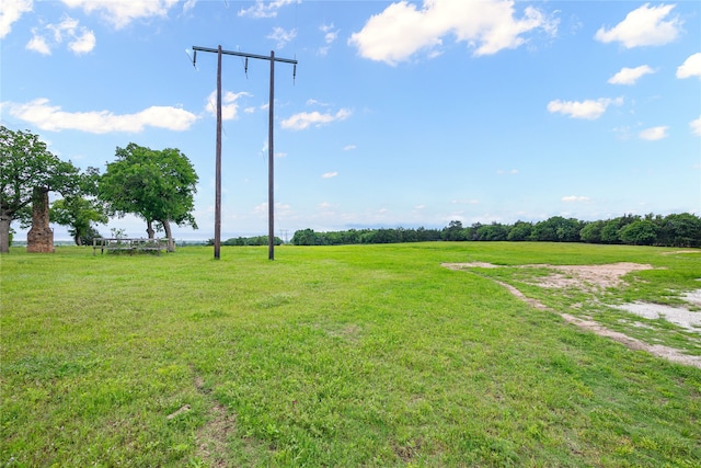 view of yard