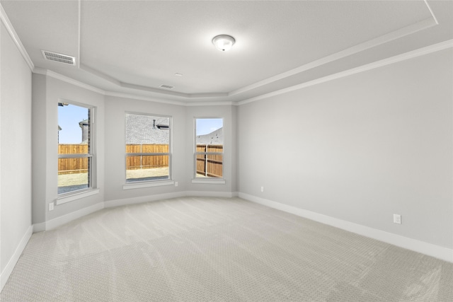 spare room featuring crown molding, a raised ceiling, and carpet