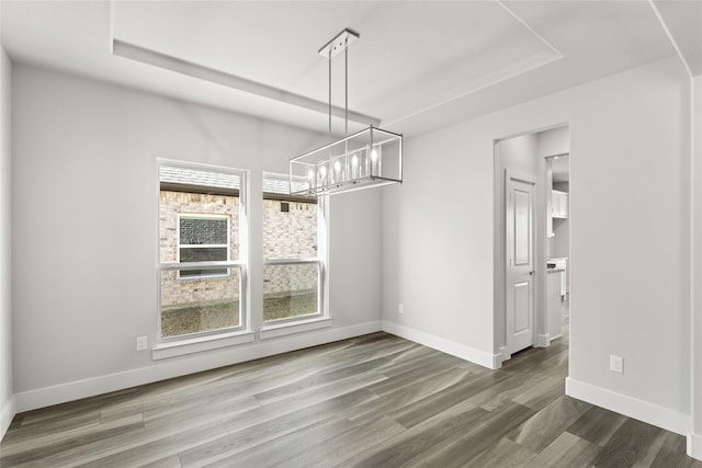 unfurnished dining area with a raised ceiling and hardwood / wood-style floors