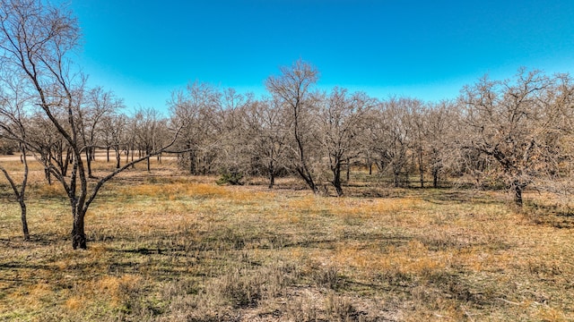 Listing photo 2 for TBD Rambling Rd, Perrin TX 76486