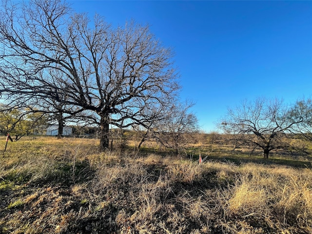 Listing photo 2 for 180 Brazos W Dr, Mineral Wells TX 76067