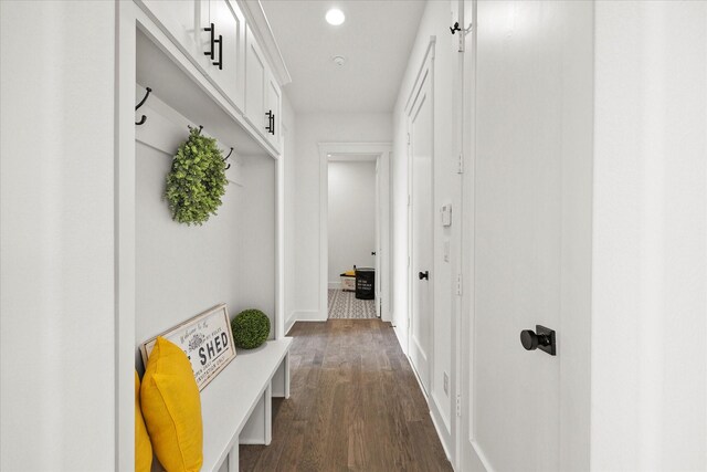 mudroom featuring dark wood-type flooring