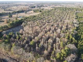 TBD Farm Rd Unit 2120, Bagwell TX, 75412 land for sale