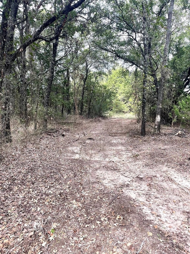 Listing photo 3 for TRACT1 Greanead Rd, Forestburg TX 76239