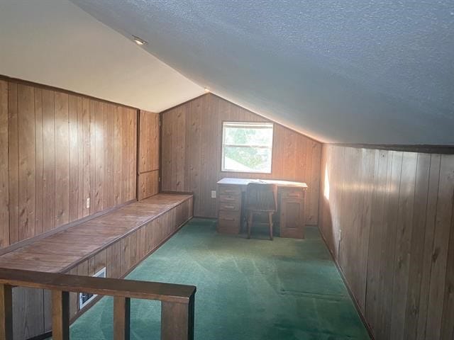 additional living space featuring vaulted ceiling, a textured ceiling, wooden walls, and carpet flooring