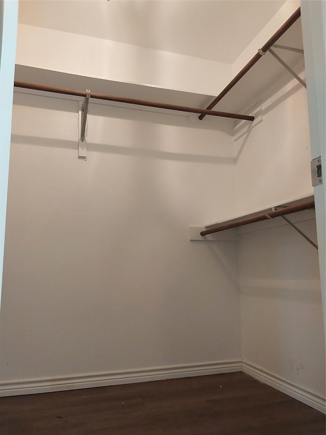 spacious closet with dark wood-type flooring