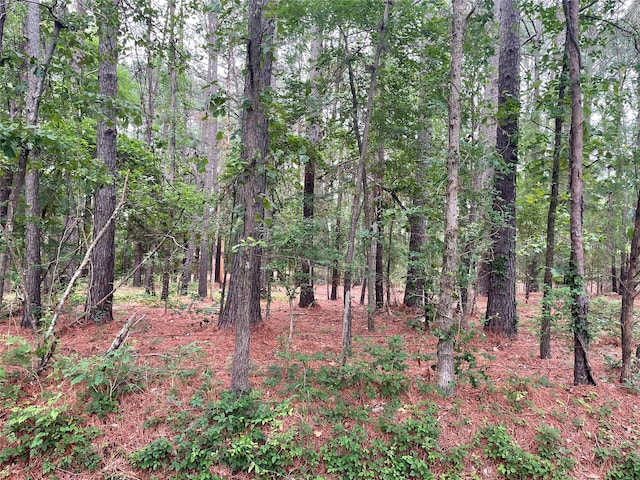 20348 County Road 4106, Lindale TX, 75771 land for sale