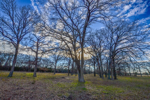 Listing photo 2 for 0 Vz County Road 2309, Canton TX 75103