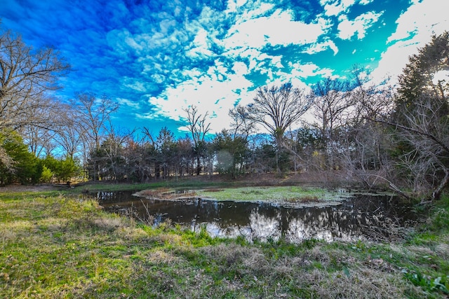 Listing photo 3 for 0 Vz County Road 2309, Canton TX 75103