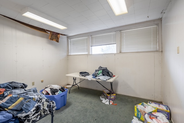 basement with carpet