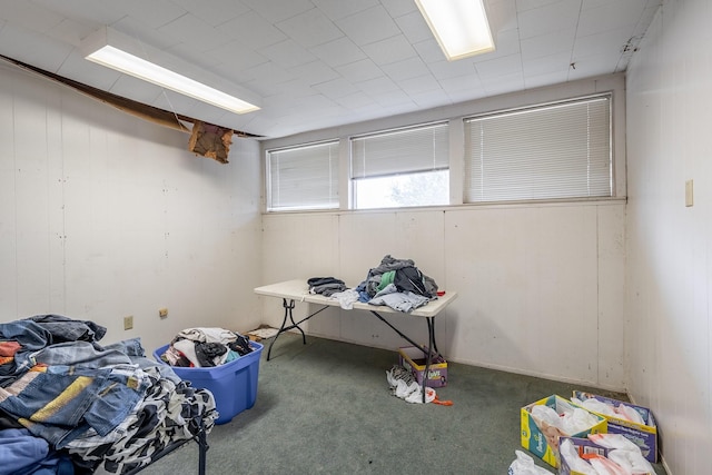 basement with carpet