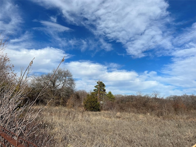 TBD Fm 897, Telephone TX, 75488 land for sale