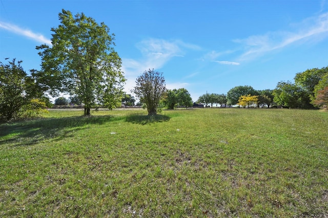 view of yard with a rural view