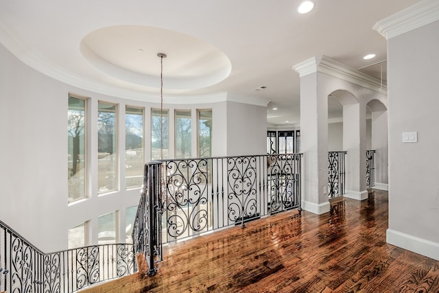 hallway featuring a raised ceiling, dark hardwood / wood-style floors, and crown molding