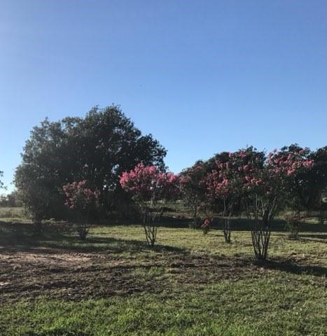 view of yard with a rural view