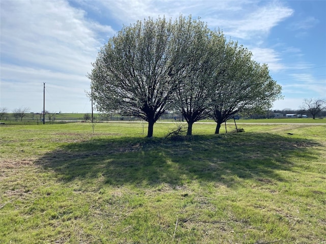 Listing photo 2 for 18969 Brookfield Dr, Justin TX 76247