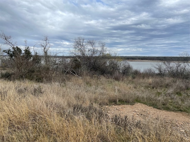 LOT281 Summer Wind Dr, Brownwood TX, 76801 land for sale